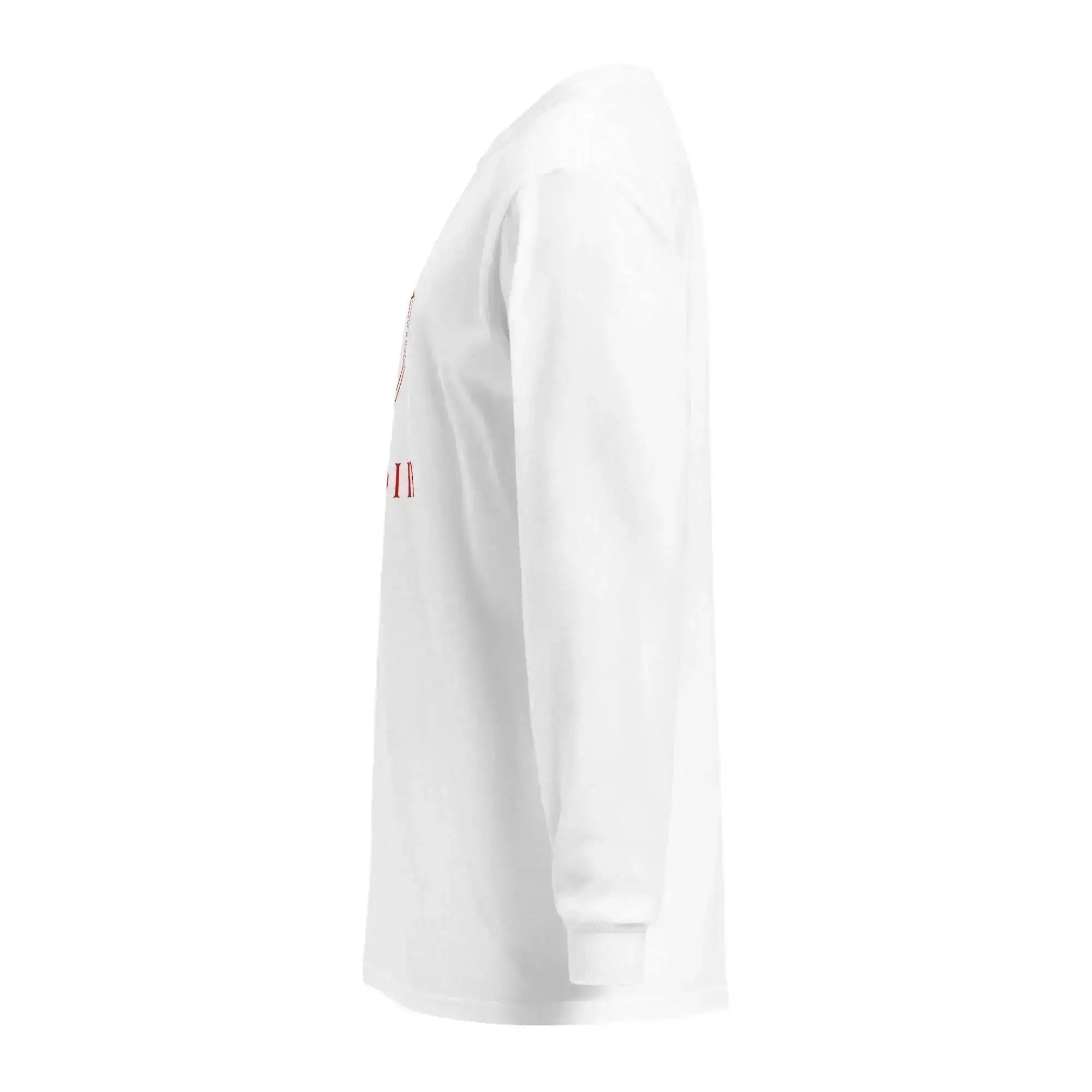 Bitcoin Plan Long Sleeve T-Shirt - InvestmenTees