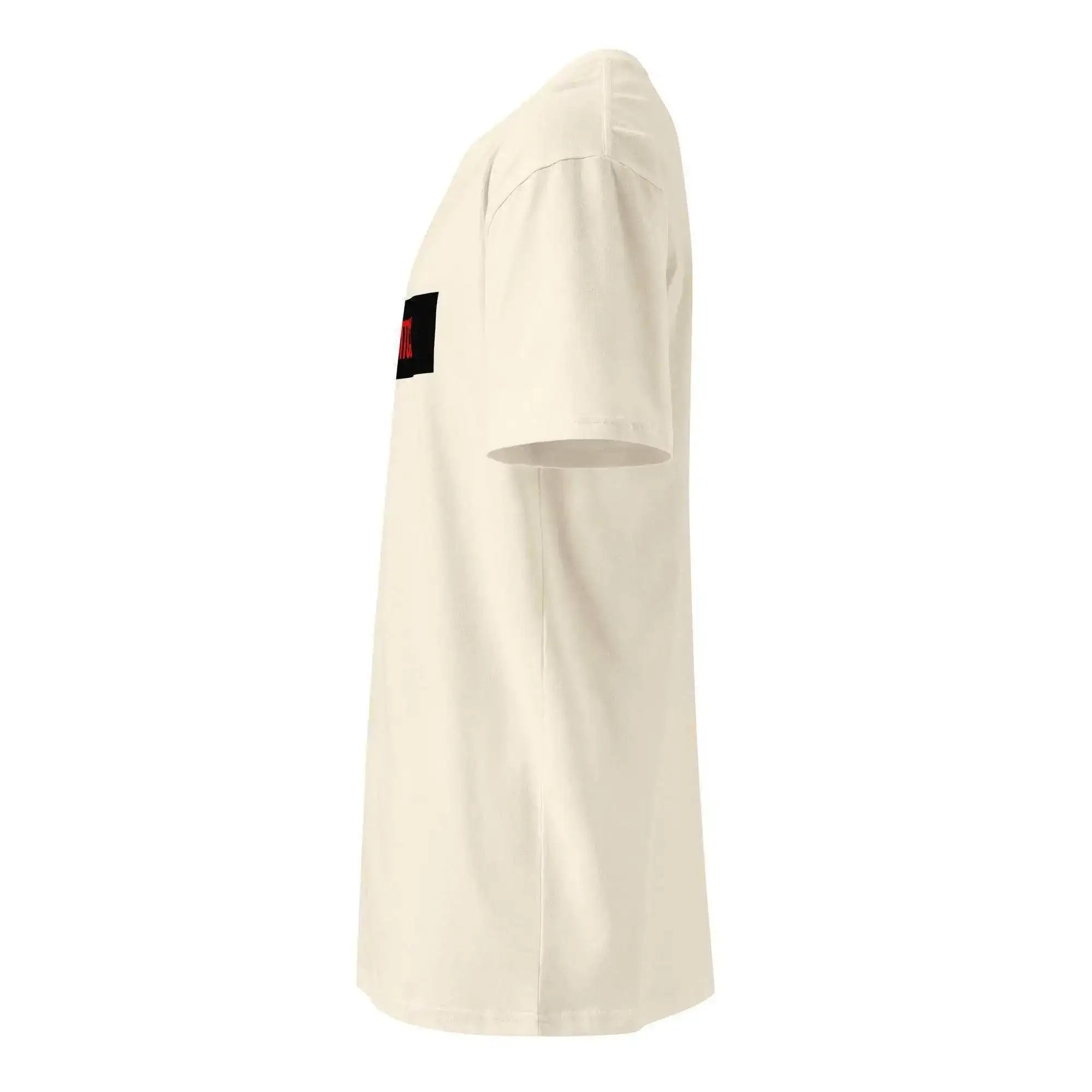 BTC | Bitcoin T-Shirt - InvestmenTees