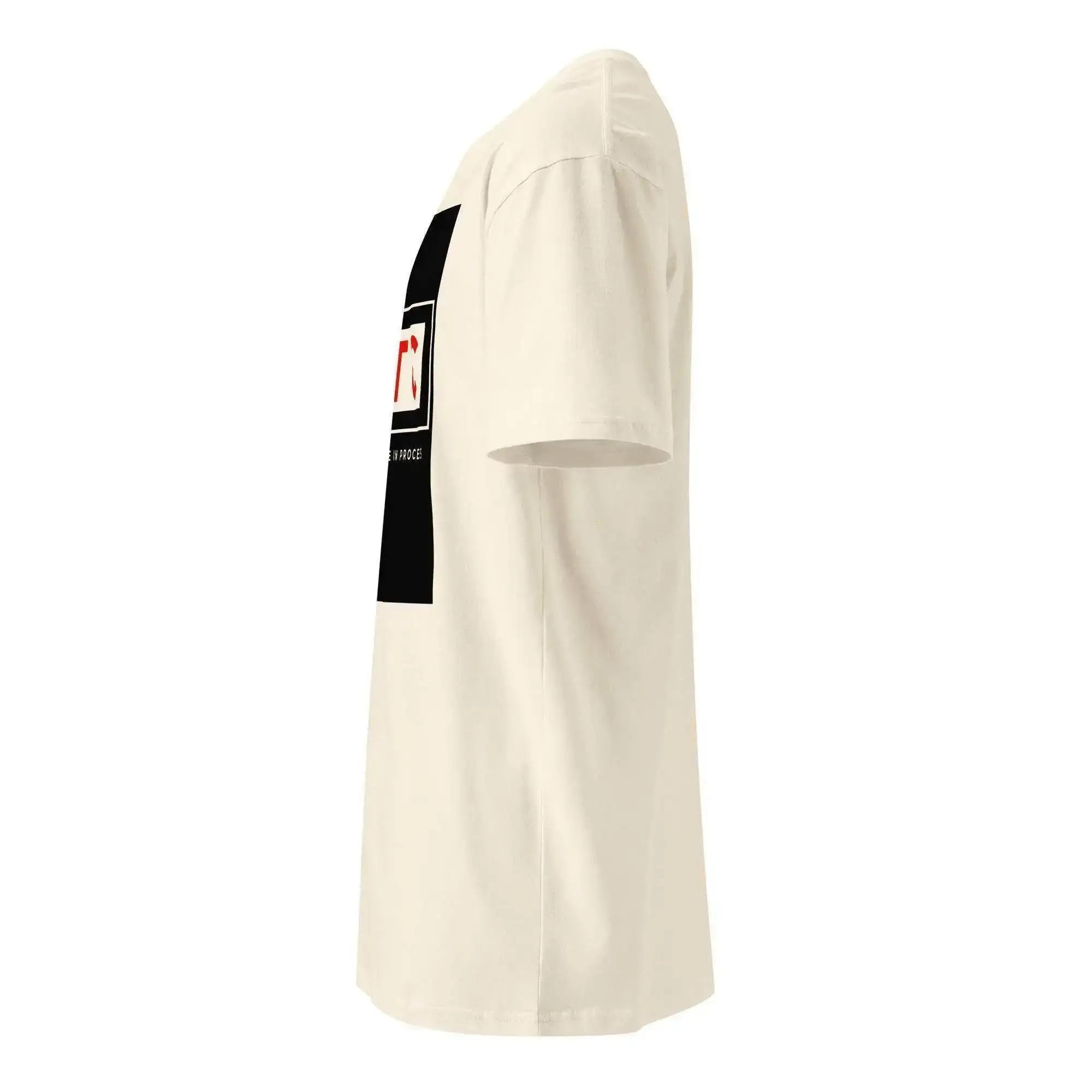 BTC | Millionaire T-Shirt - InvestmenTees