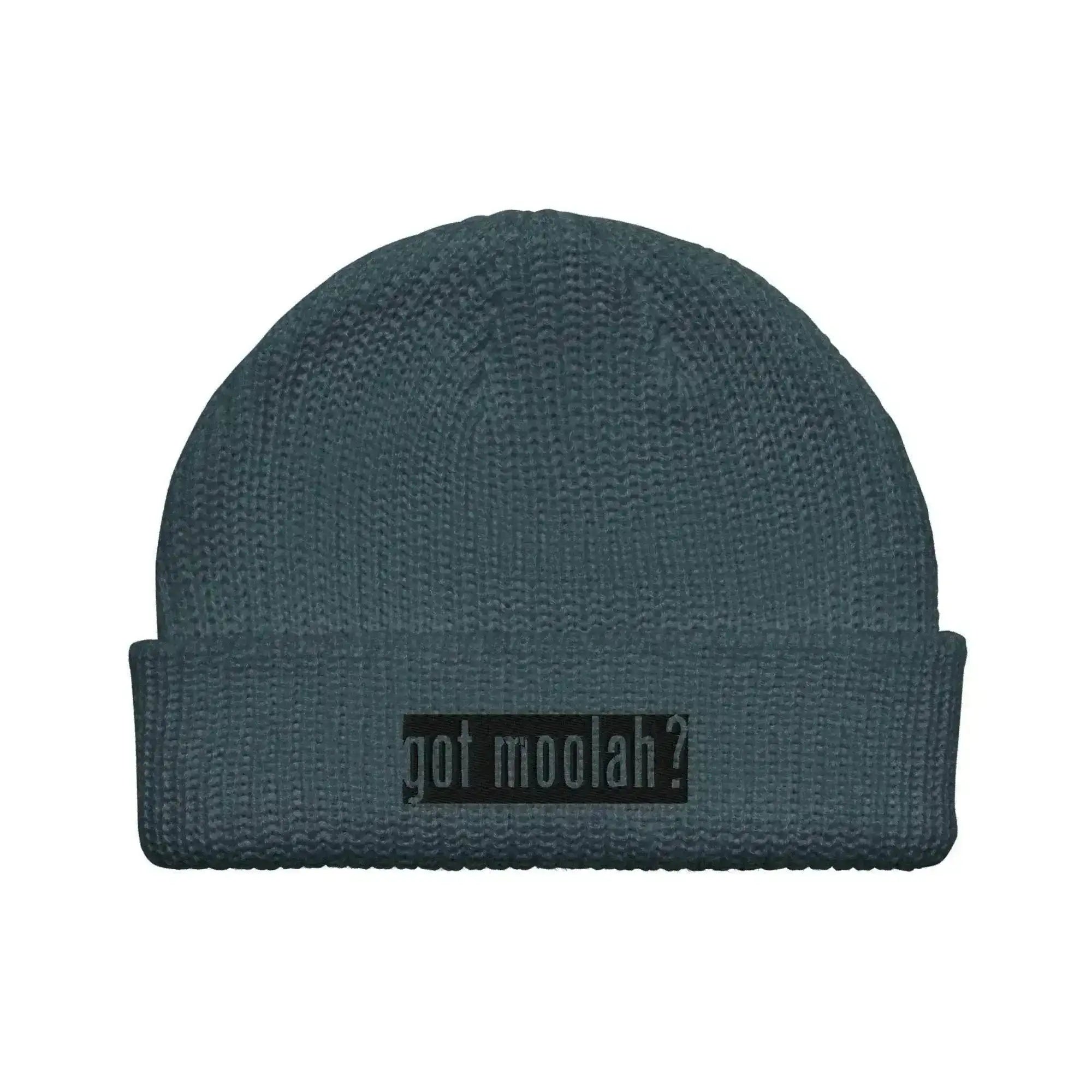Got Moolah? Beanie - InvestmenTees