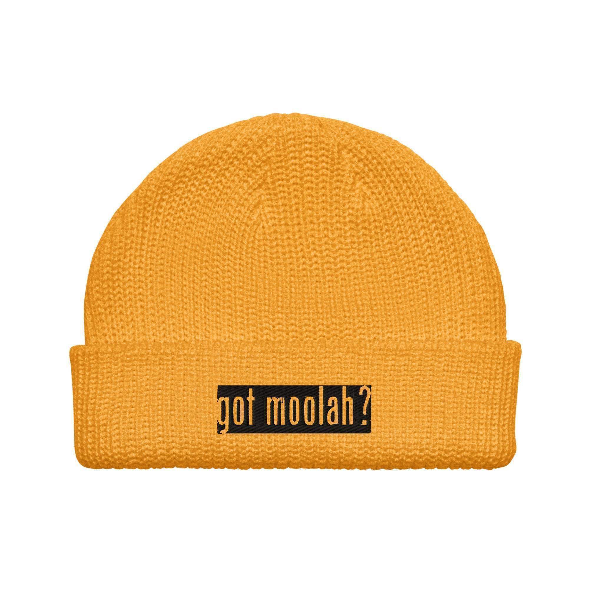 Got Moolah? Beanie - InvestmenTees