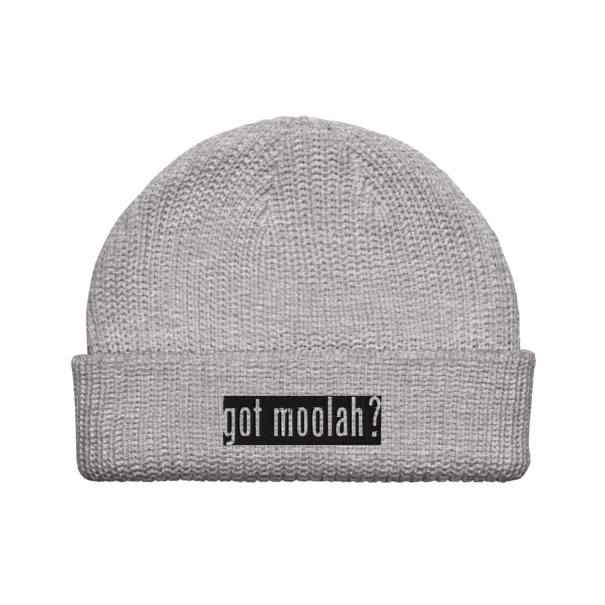 Got Moolah? Beanie - InvestmenTees