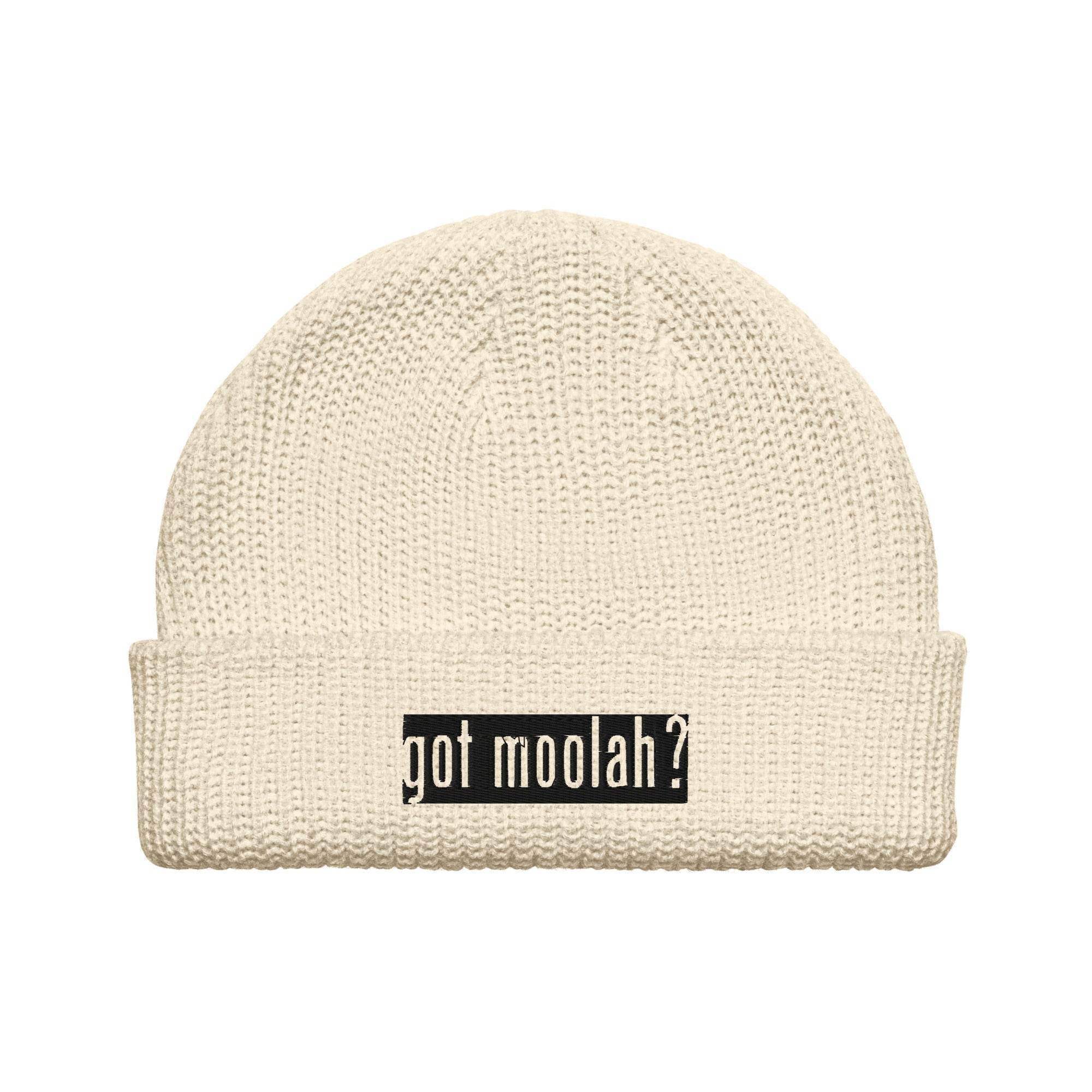 Got Moolah? Beanie - InvestmenTees