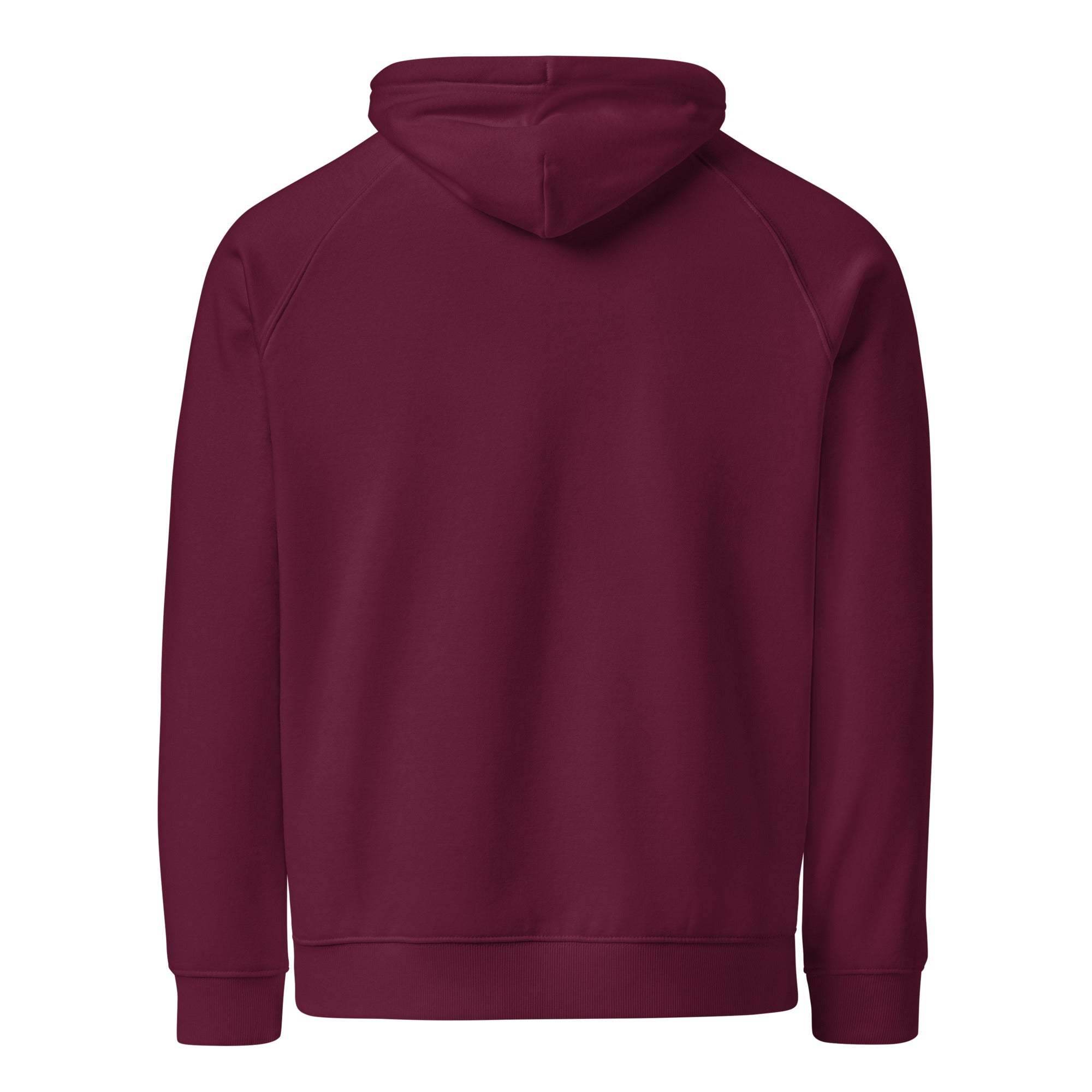 XRP Pullover Hoodie - InvestmenTees