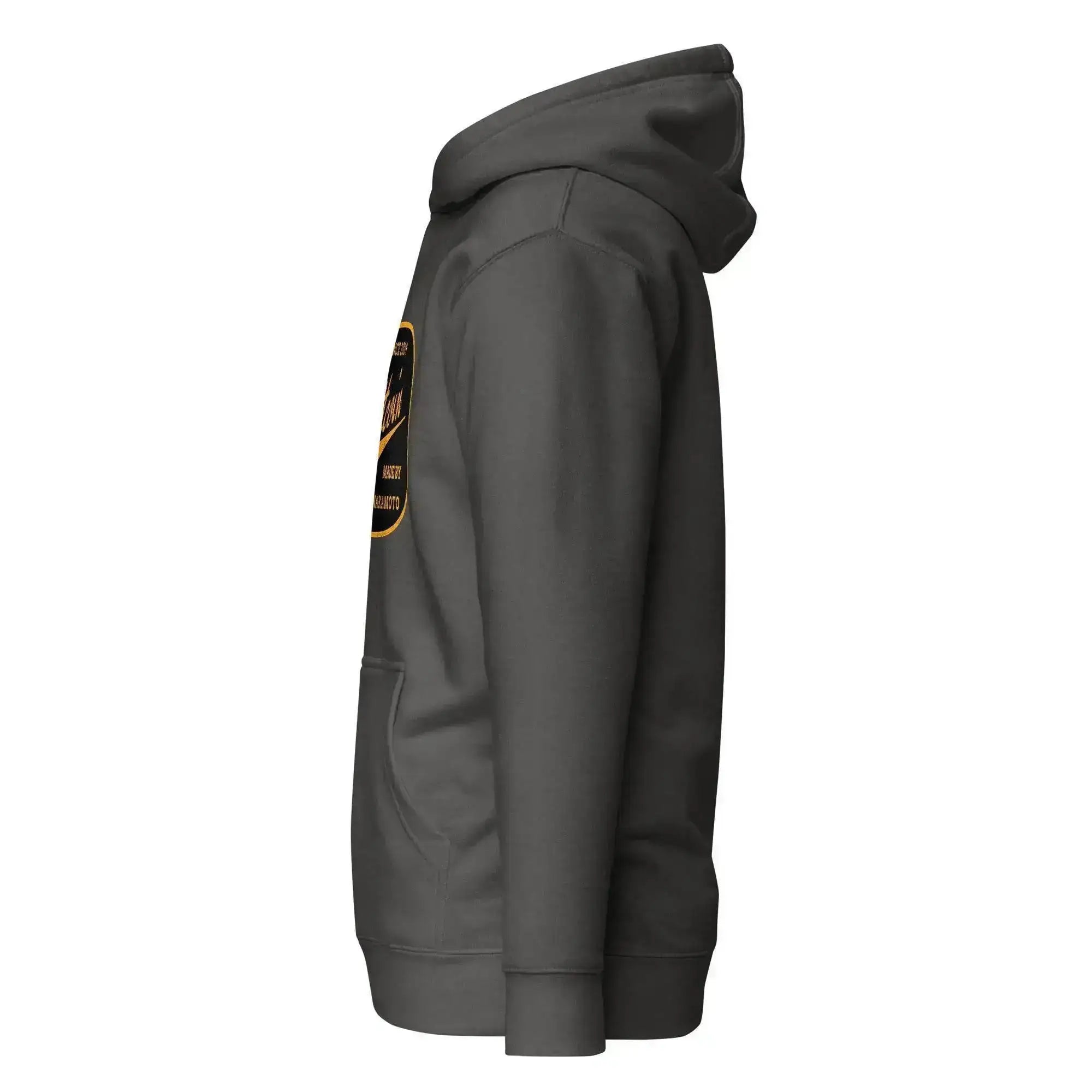 Bitcoin Since 2009 Pullover Hoodie - InvestmenTees
