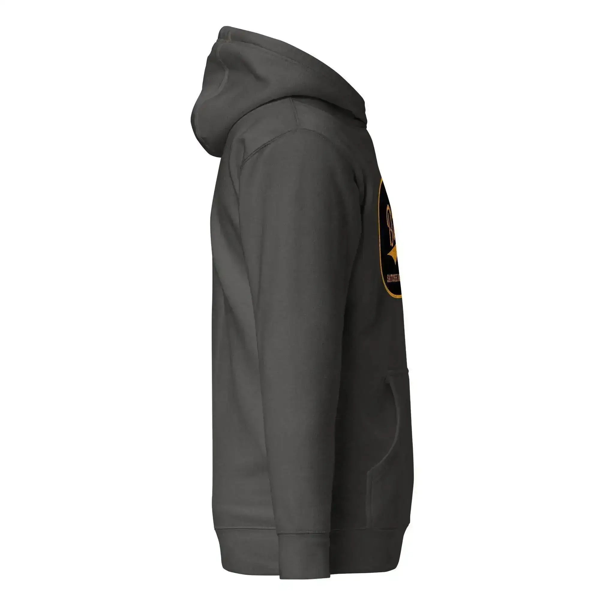 Bitcoin Since 2009 Pullover Hoodie - InvestmenTees