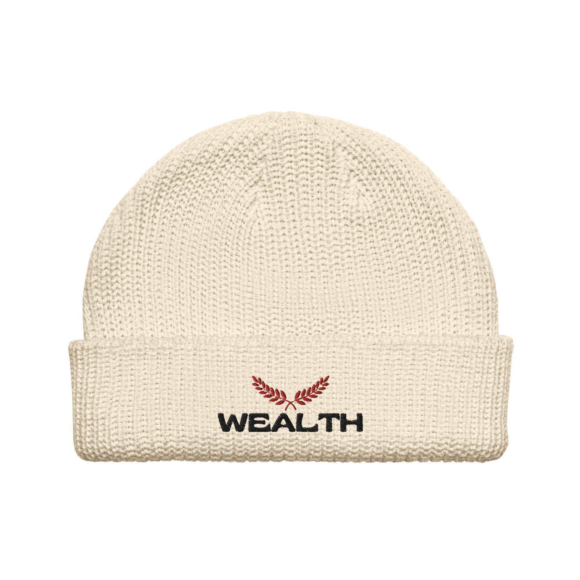 Wealth Beanie - InvestmenTees